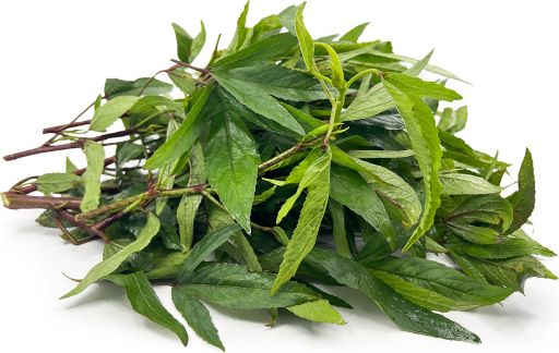 Gongura Leaves