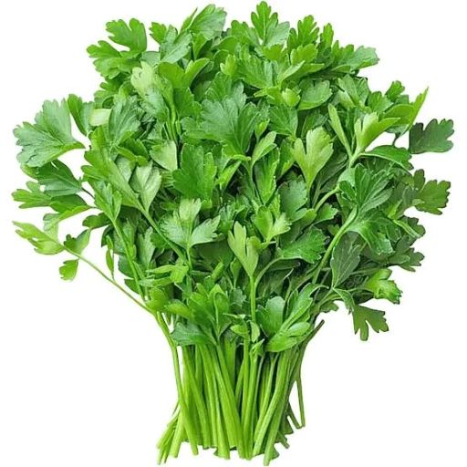Cilantro/Coriander Leaves ea