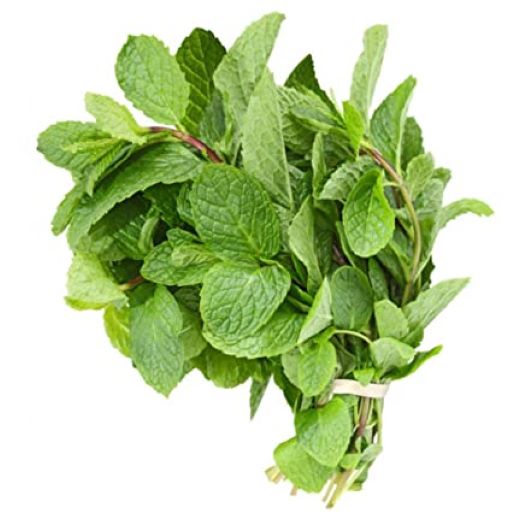 Mint/Pudina Leaves ea
