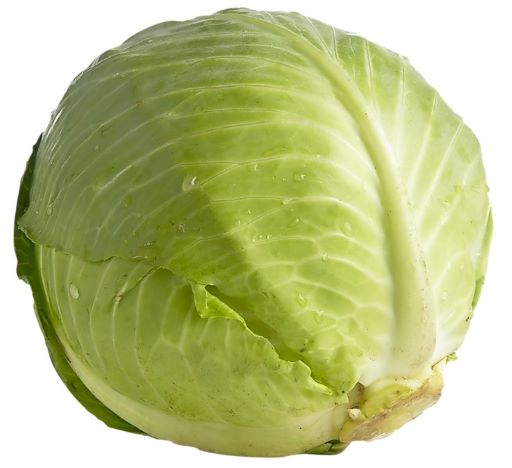 Green Cabbage