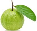Guava